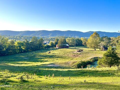 238 River Rd, Jacksboro, TN 37757