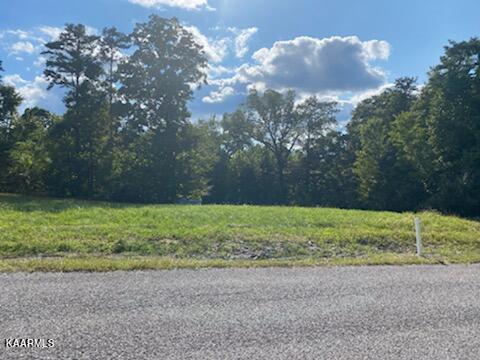 Lot 4 Old Hearth, La Follette, TN 37766