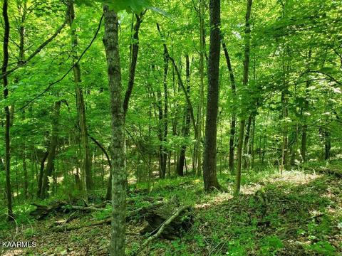 Ridge Drive, Kingston, TN 37763