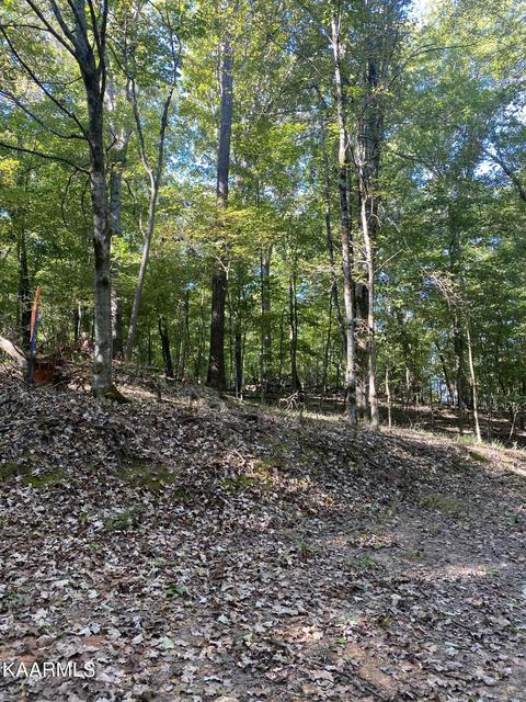 Ridge Drive, Kingston, TN 37763