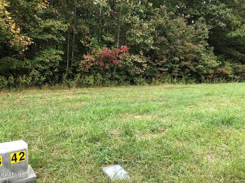 Lot 42 Old Hearth Drive, La Follette, TN 37766