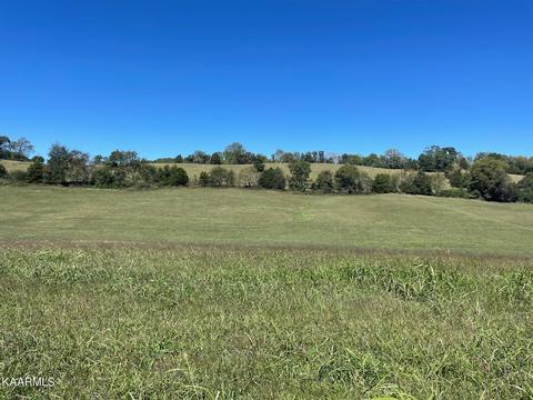 Lot 8b Thompson Rd, Madisonville, TN 37354