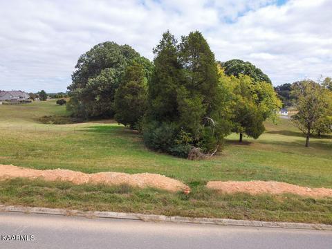 Duseth Drive, Sweetwater, TN 37874