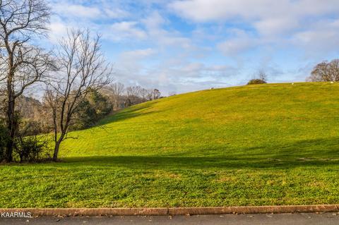 43 Cow Poke Lane, Rutledge, TN 37861