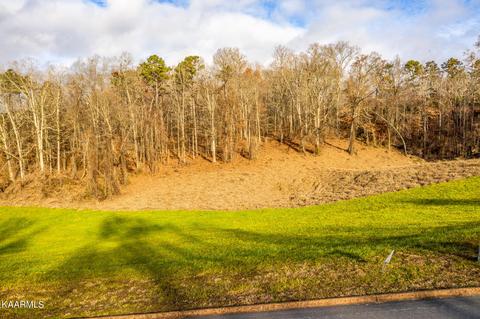 56 Cow Poke Lane, Rutledge, TN 37861