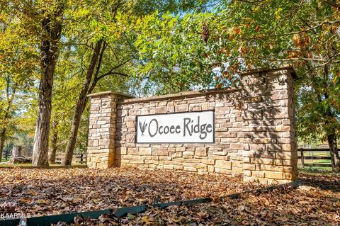 Lots 27&28 Ocoee Ridge Subdivision, Ocoee, TN 37361 photo 2