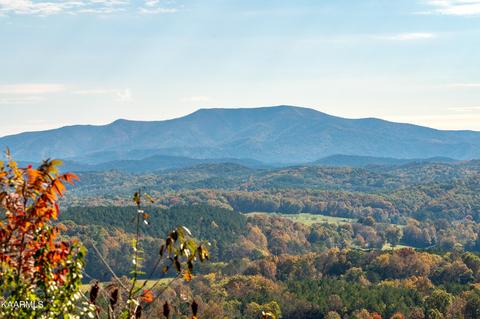 Lots 27&28 Ocoee Ridge Subdivision, Ocoee, TN 37361 photo 8