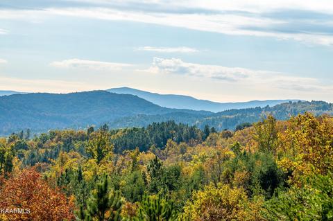 Lots 27&28 Ocoee Ridge Subdivision, Ocoee, TN 37361 photo 5