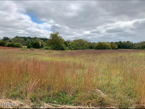 706 Blue Water Dr_lot 23, Cookeville, TN 38506