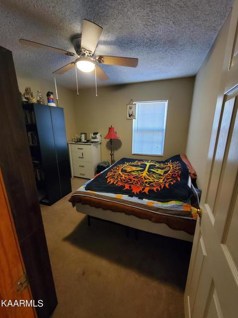 281 Norfolk Cir, Harrogate, TN 37752 photo 18