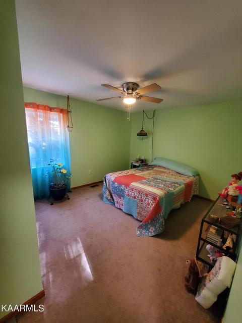 281 Norfolk Cir, Harrogate, TN 37752 photo 21