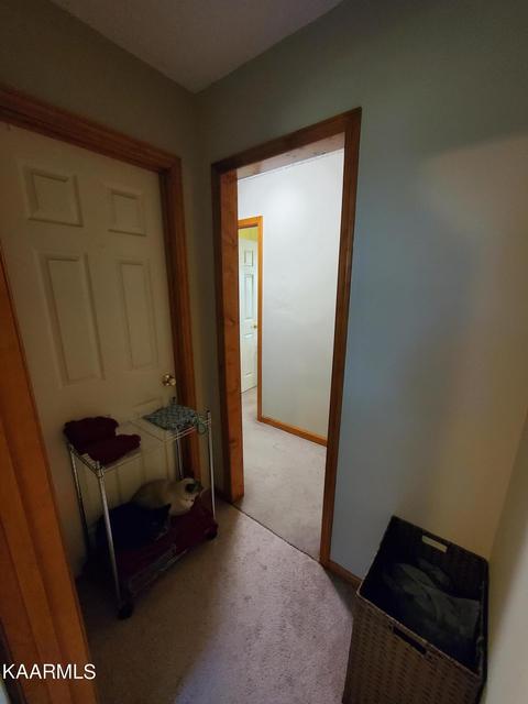 281 Norfolk Cir, Harrogate, TN 37752 photo 25