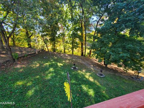 281 Norfolk Cir, Harrogate, TN 37752 photo 8