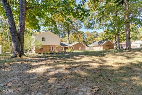 7912 Whitcomb Rd, Powell, TN 37849 photo 36