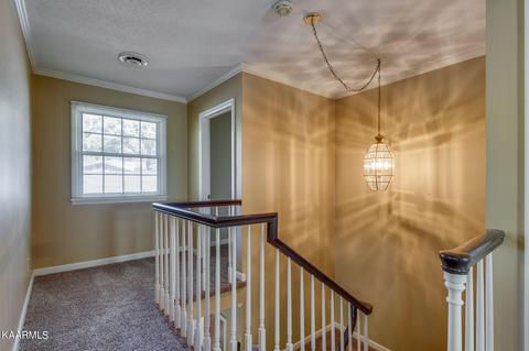 7912 Whitcomb Rd, Powell, TN 37849 photo 20