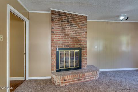 7912 Whitcomb Rd, Powell, TN 37849 photo 31