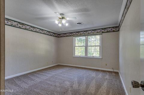 7912 Whitcomb Rd, Powell, TN 37849 photo 21