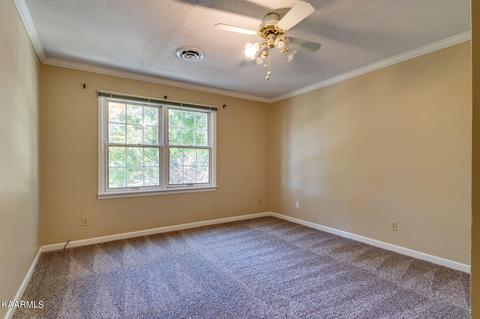 7912 Whitcomb Rd, Powell, TN 37849 photo 22
