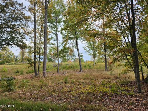 Loch Haven, Rockwood, TN 37854