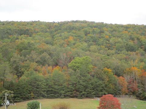 5800 Poor Valley Rd, Rutledge, TN 37861