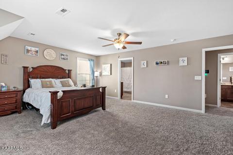 1153 Cloud View Dr, Powell, TN 37849 photo 11