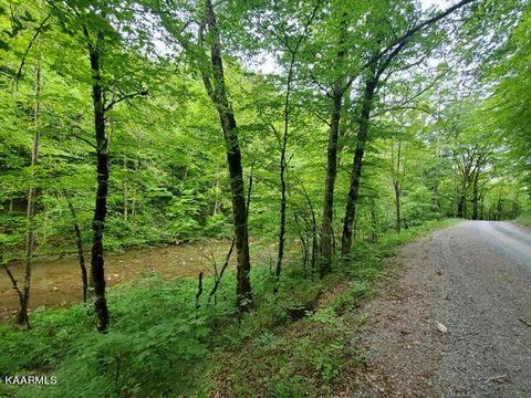 Hardy's Creek Rd, Jonesville, VA 24263