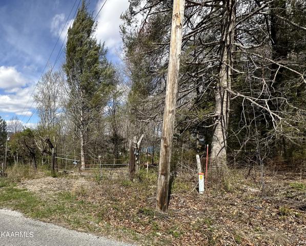 7 Shannon Road, Jacksboro, TN 37757