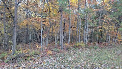 18 Mountain Ash Drive, Monterey, TN 38574