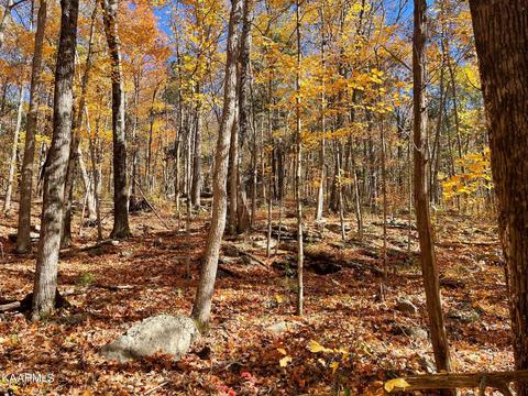 Country Club Rd, Sparta, TN 38583