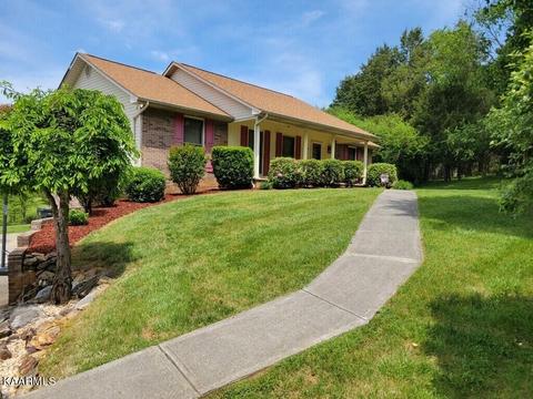 8127 Robert Watkins Rd, Talbott, TN 37877 photo 1