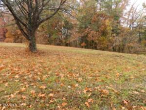 Mckinney Rd 1.9 Acre Lot, Blaine, TN 37709