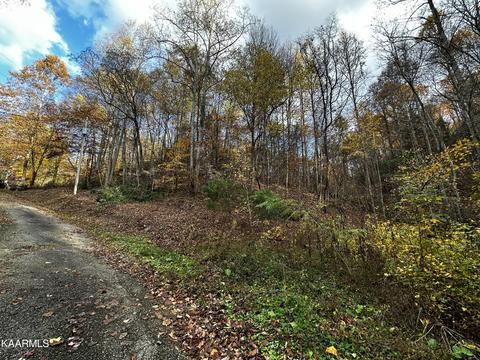 Faiths Way, Sevierville, TN 37876