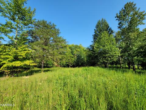 223 Serenity Dr, Harriman, TN 37748