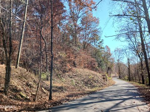 Community Park Rd, Seymour, TN 37865