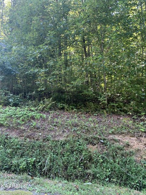 Kays Drive Drive, La Follette, TN 37766