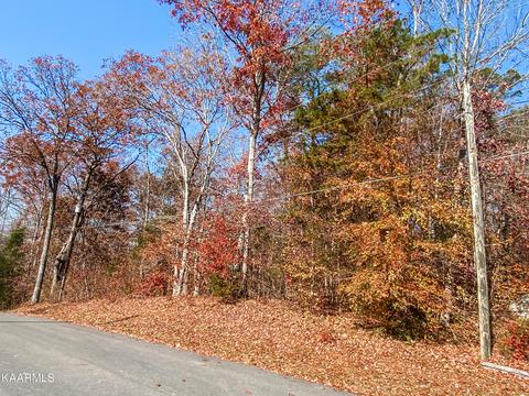 Basswood Lane, Kodak, TN 37764