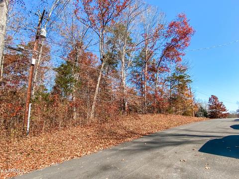 Basswood Lane, Kodak, TN 37764