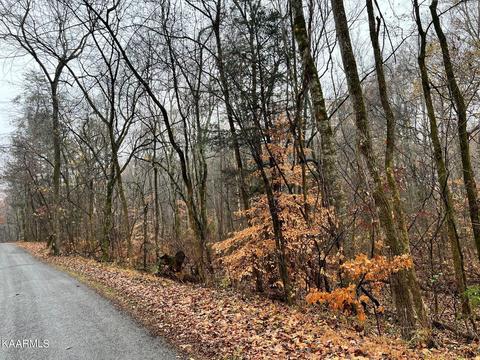 Lot 5 Butler Rd, Decatur, TN 37322