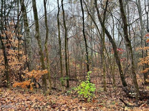 lot6 Butler Rd, Decatur, TN 37322