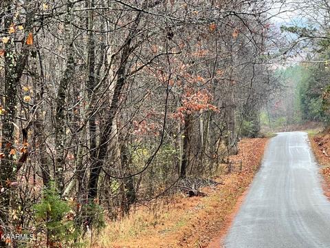 Lot 18 Sam Davis, Decatur, TN 37322