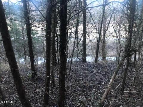 West Of Sugar Creek Rd, Gainesboro, TN 38562