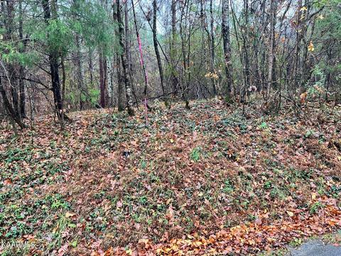 6 Rayl Hollow Road, Decatur, TN 37322