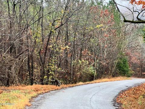 lot8 Hampton Ln, Decatur, TN 37322