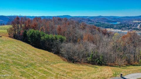 Alabaster Court, New Tazewell, TN 37825
