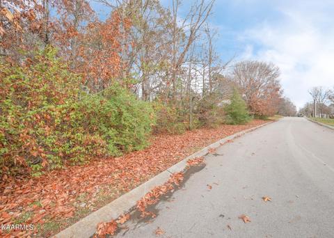 2224 W Ridgewood Dr, Louisville, TN 37777