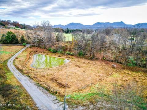480 Wolfe Rd, Luttrell, TN 37779 photo 23