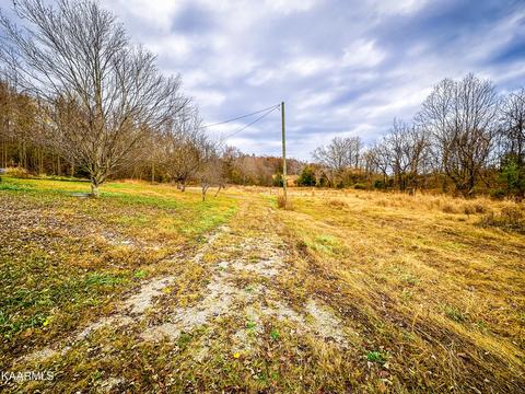 480 Wolfe Rd, Luttrell, TN 37779 photo 17