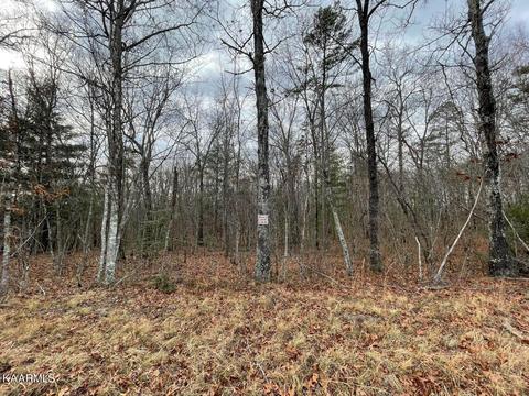 St Anthony Drive, Jamestown, TN 38556