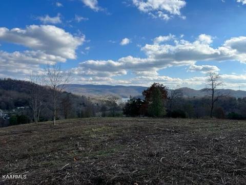 Nola Lane, New Tazewell, TN 37825