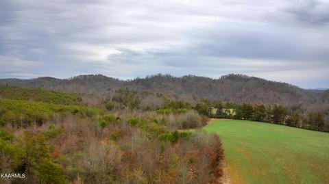 3 Ballplay Road, Madisonville, TN 37354